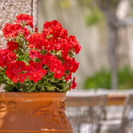 Sala Historical Luxury Appartement Rhodes City